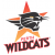 Perth Wildcats.png
